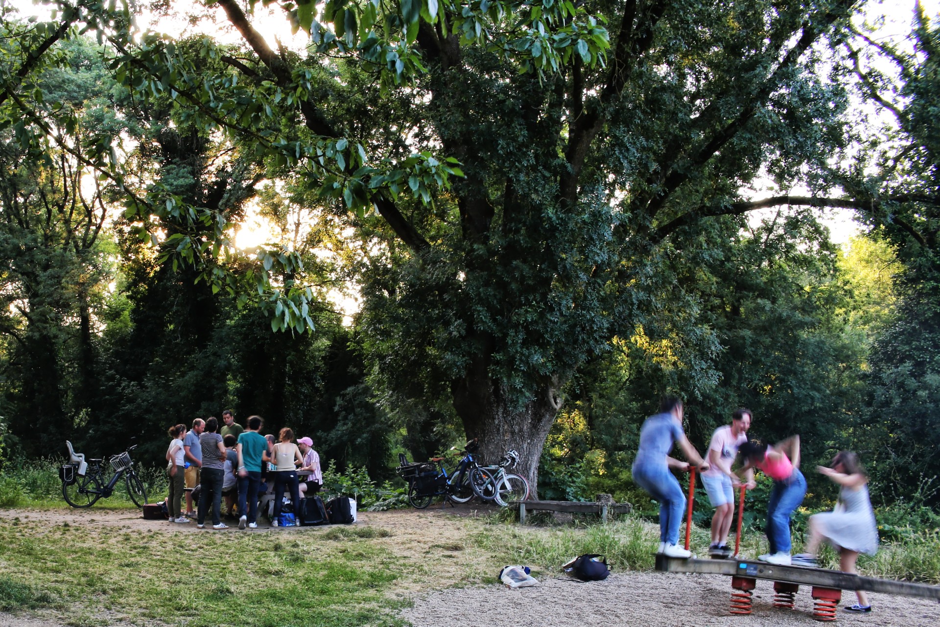 ifla-world-congress-2025-technical-tours_ile_de_nantes_est_rb-parc-de-beaulieu-05.jpg