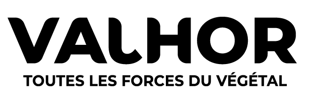 ifla-world-congress-2025-ifla-world-congress-2025_valhor_logo_q.png
